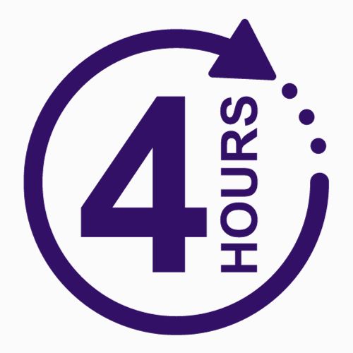 Priority Delivery in 4 hours